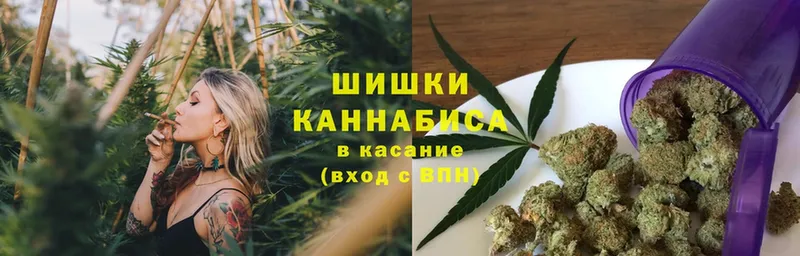 Шишки марихуана марихуана  Белёв 